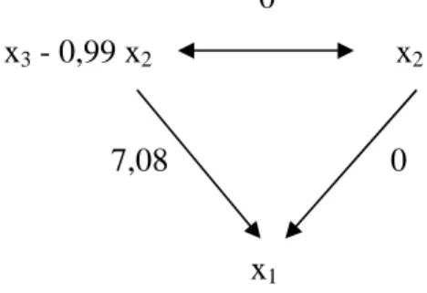 Figure 1.3 : Chemins causaux après orthogonalisation. 
