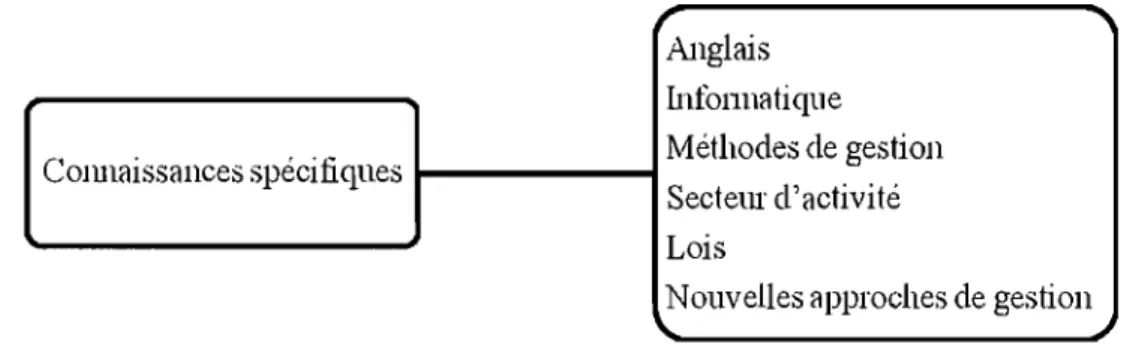 Figure  10:  Les  niveaux  de  connaissances  spécifiques  qui  ont  été  considérées  dans  la  recherche de Haines et Arcand (1997) 