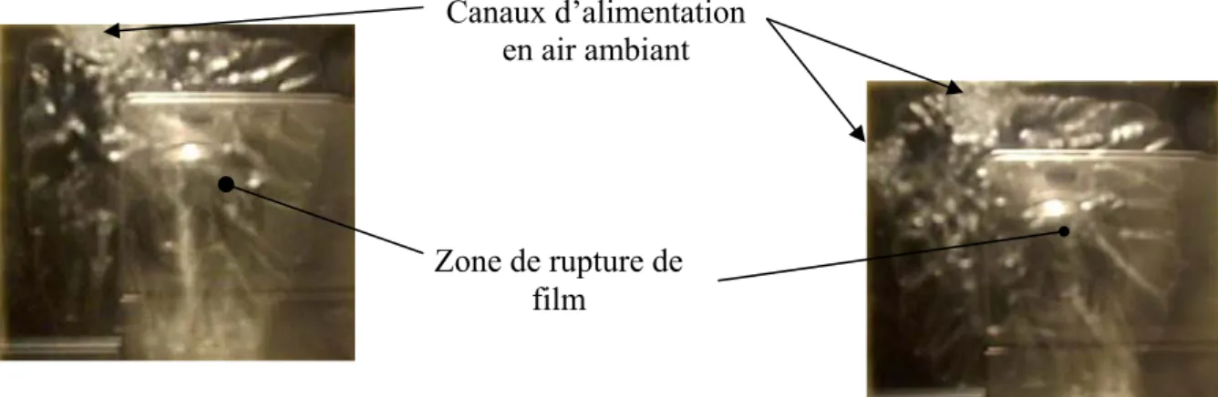 Figure III.9: Rupture de film dans un contact plan/plan 