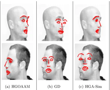 Figure 5: Alignement des visages de la base SUPELEC'08 par HGOAAM, GD et HGA- HGA-Sim