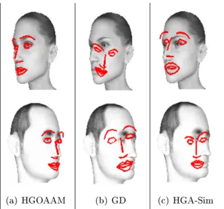 Figure 6: Alignement des visages de la base synthétique par HGOAAM, GD et HGA- HGA-Sim