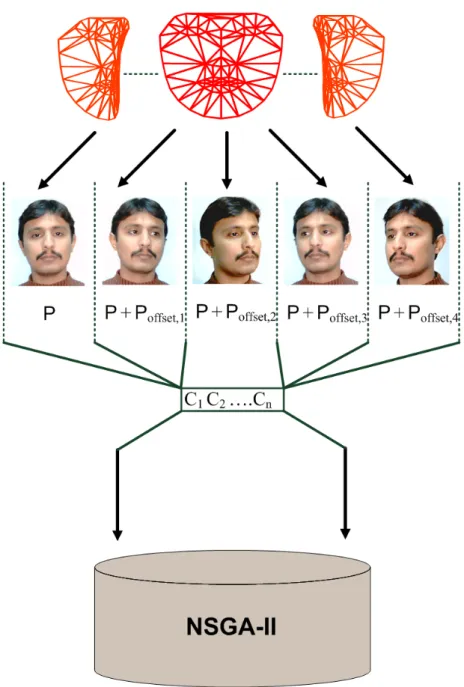 Figure 7: Un seul modèle AAM est pris en compte sur des vues diérentes d'un même visage