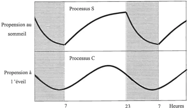 Figure 1. Le modèle de régulation du sommeil à 2 processus.