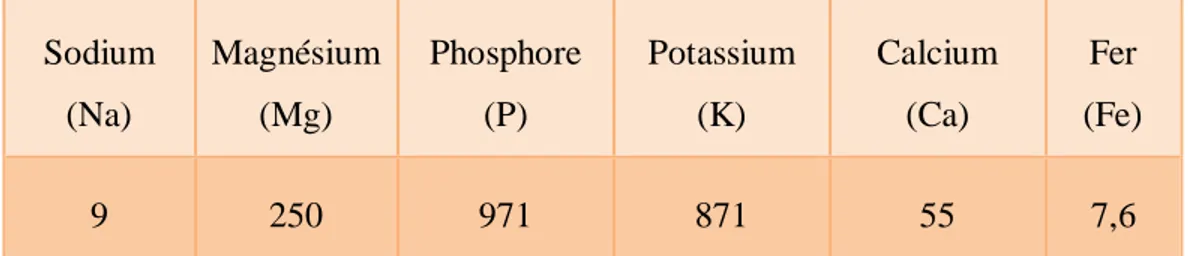 Tableau 04 : Eléments minéraux du germe (mg pour 100 g de germe) (Favier et al., 1995)  Sodium  (Na)  Magnésium (Mg)  Phosphore (P)  Potassium (K)  Calcium (Ca)  Fer  (Fe)  9  250  971  871  55  7,6 