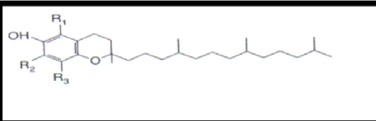 Figure 03 : Structure chimique de tocophérols (Lee et al., 2004) 