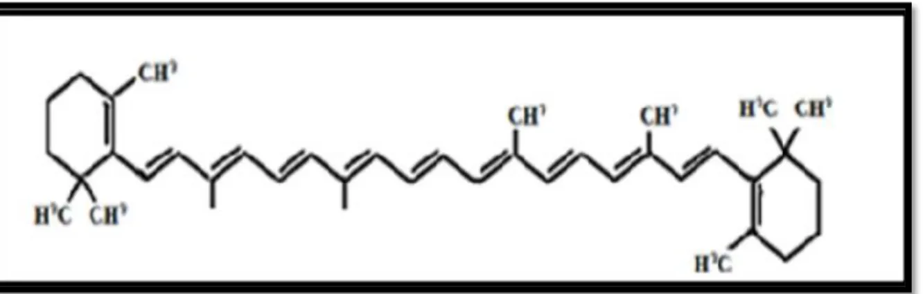 Figure 04 : Structure chimique du β carotènes (Perrin, 1992)  II. Activité antimicrobienne  