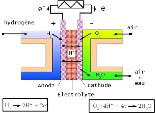Figure 2 : principe de fonctionnement d’une pile à combustible hydrogène/air de type PEMFC