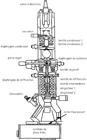 Figure 10 : Schéma de principe d'un Microscope Electronique en Transmission (MET). 