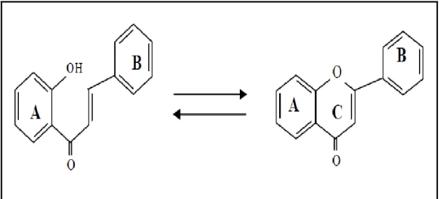 Figure 04: Structure de base d'un flavonoïde (HELLER et FORKMANN, 1993). 