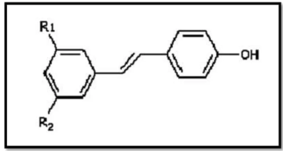 Figure 09: Structure chimique de stilbène (PERRET, 2001). 