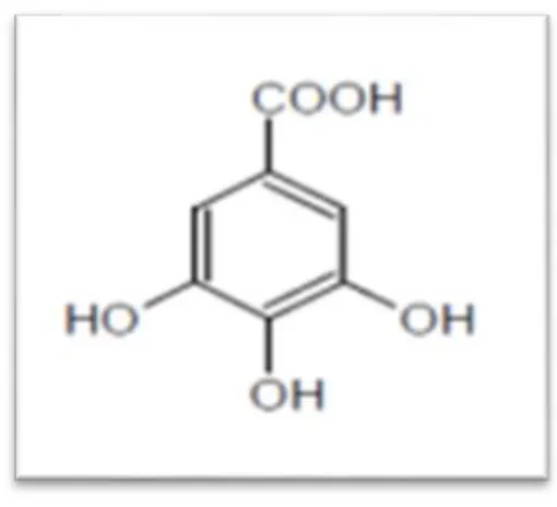 Figure 3:  Structure d’acide gallique (Khelfallah.,2013)  2.2.1.2.2  Flavonoïdes 
