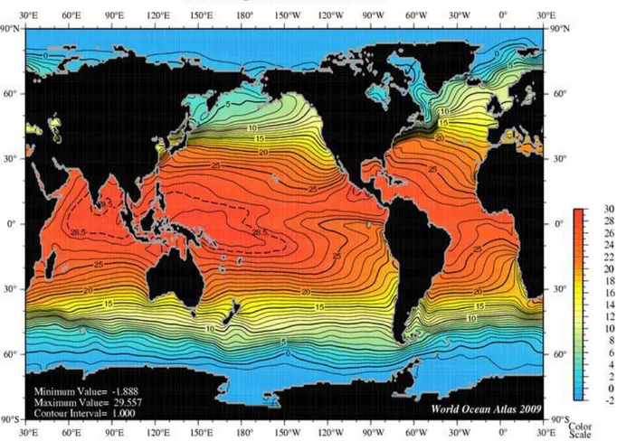 Figure 2.8  –  Température de la mer en °C. Valeurs moyennes estimées sur l’année 2009 [18]