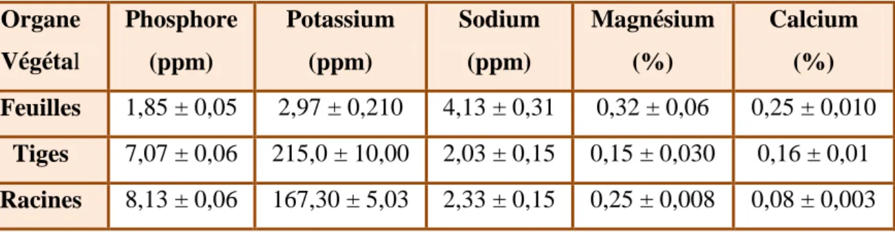 Tableau V: Composition minérale de Pergularia tomentosa (Hassan et al., 2007).  Organe  Végétal  Phosphore (ppm)  Potassium (ppm)  Sodium (ppm)  Magnésium (%)  Calcium (%)  Feuilles  1,85 ± 0,05  2,97 ± 0,210  4,13 ± 0,31  0,32 ± 0,06  0,25 ± 0,010  Tiges 