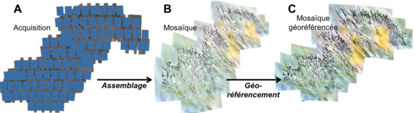 Figure  2 :  (A)  Acquisition  des  109  images  (bleu-vert-rouge)  par  drone  aérien