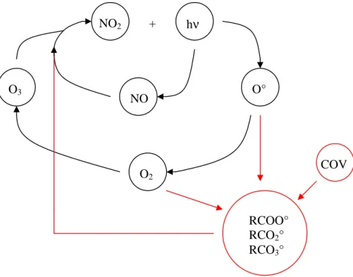 Figure 3 : Cycle de Chapman modifié par la présence de COV. 