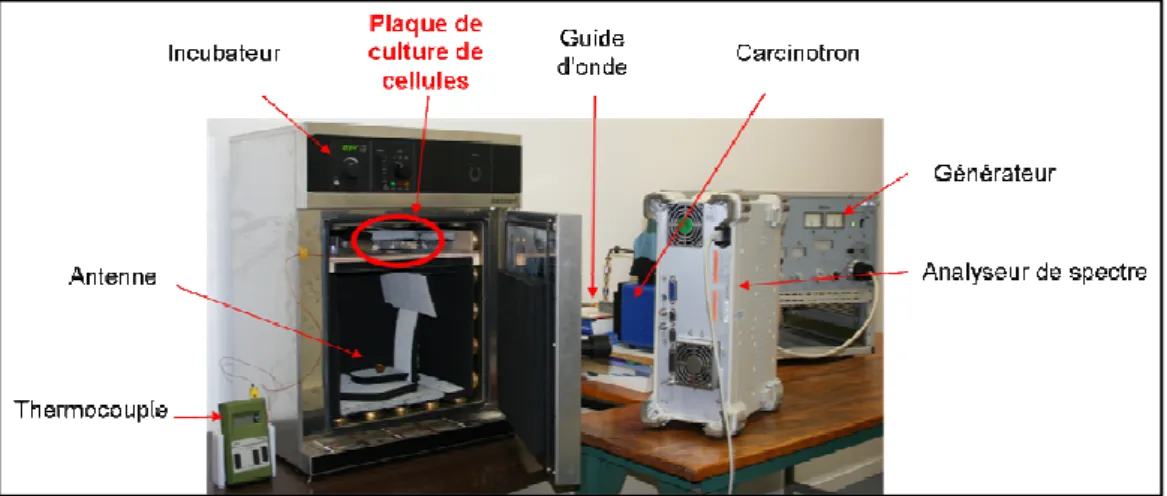 Figure 27 : Dispositif  expérimental  développé  pour  exposer  des  cultures  de  cellules  à  des  fréquences  comprises entre 50 et 75 GHz 