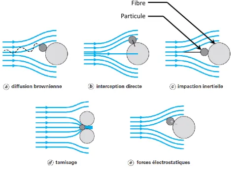 Figure 1-10 - Représentation des différents mécanismes de collecte de particules par des  fibres (Le Coq, 2006) 
