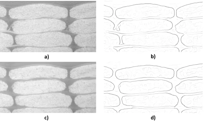 Figure I.42: Illustration of image concatenation eect: a)Raw slice # 300. b) FeatureJ edge detection on the raw slice
