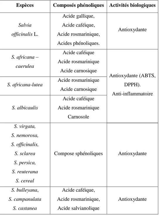 Tableau 02 : Activités biologiques des composés phénoliques de quelques plantes de genre  Salvia (Khenfer et al., 2016)