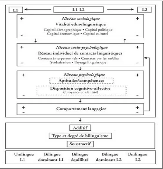 Tableau 3 : Modèle des déterminants du bilinguisme additif et du bilinguisme soustractif  de  Landry et Allard (1990) 