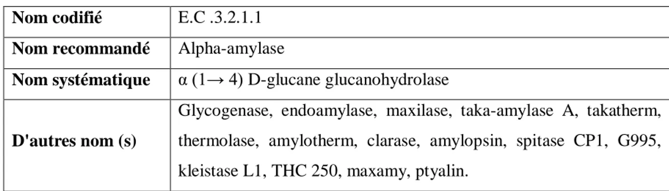 Tableau 04: Les différentes nomenclatures d'α-amylase (Benaouida, 2008). 