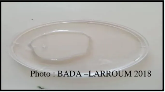 Figure 17 : Mettez les sections dans l'eau javel ( BADA –LARROUM 2018) Photo : BADA –LARROUM 2018 