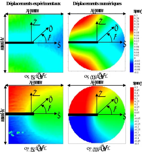 figure 2.14 : Champs de déplacements expérimentaux et champs de déplacements  numériques pour une modélisation de plaque infinie