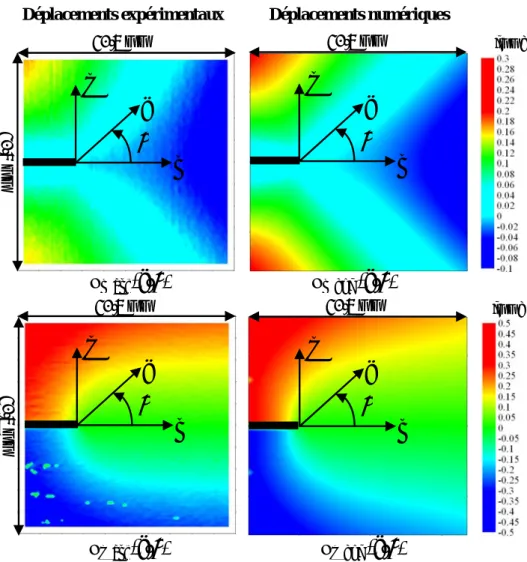 figure 2.18 : Champs de déplacements expérimentaux et numériques sur la surface libre