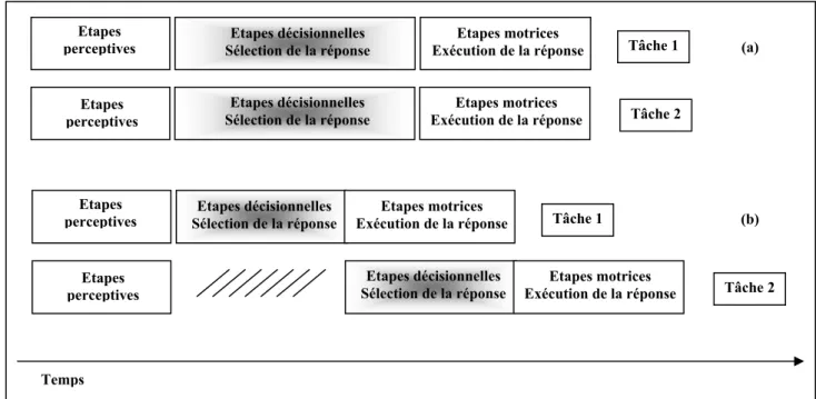 Figure 2: Modèle de partage des capacités (a), modèle du goulot d’étranglement (b) et traitement d’une  double tâche de temps de réaction de choix