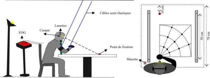 Figure 5 : Dispositif expérimental.  