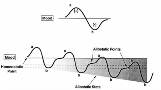 Figure  8 :  Représentation  schématique  du  développement  de  l’allostasie  hédonique  selon  le  modèle des processus opposants