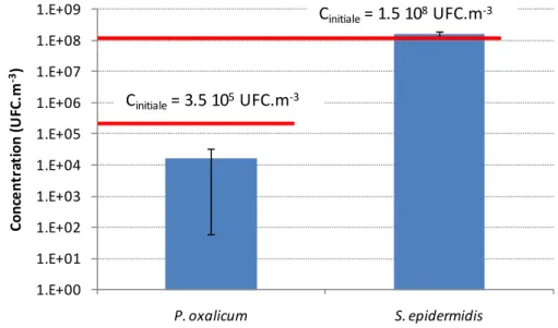 Figure  II-  6.  Concentrations  en  P.oxalicum et  S.epidermidis  cultivables  dans  quatre BioSamplers  après  65 min de génération 