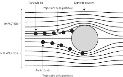 Figure  I-  10.  Mécanismes  de  capture  des  particules  sur  une  fibre par effet  d’interception  directe  et  d’impaction inertielle (Bemer et al., 2006)