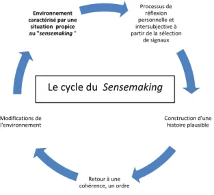 Figure 2 : représentation schématique du cycle de Sensemaking (phase1) 