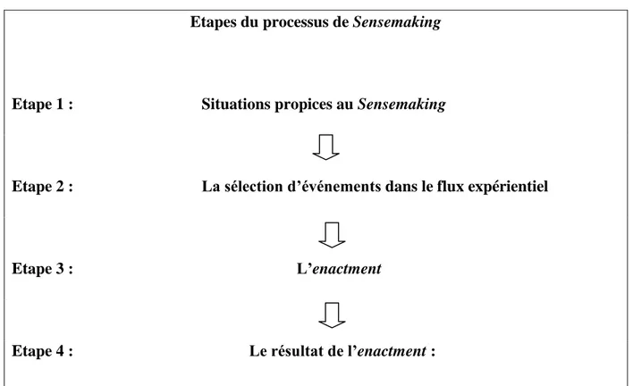 Figure 5 : représentation schématique des étapes du Sensemaking