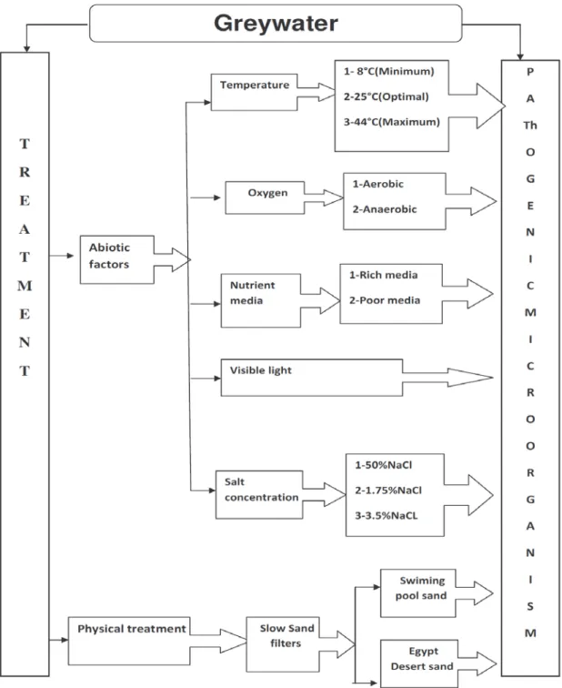 Figure 1.1 General scheme of the proposed studied of greywater treatment for safe  reuse