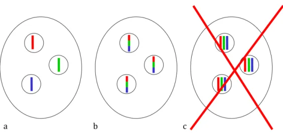 Figure  1-3:  What  kind  of  marker  is  needed?  Standard  molecular  biology  techniques  do  not  allow  us  to  distinguish situation a), in which a gene occurs in single copy in genetically divergent nuclei, from situation b),  in which a gene occurs