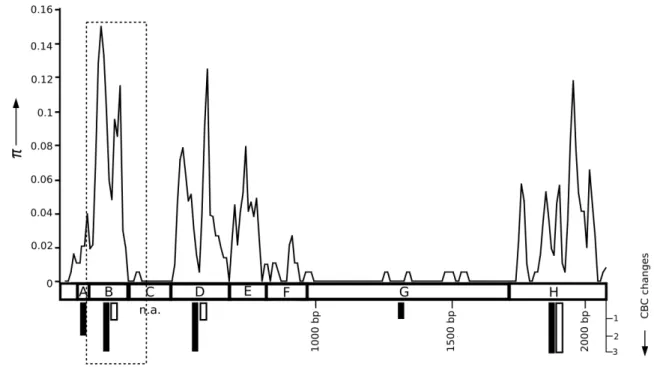 Figure 2-1 Within-isolate nucleotide diversity (π) (Nei 1987) along the 5ʼ LSU rDNA of Glomus irregulare for the  entire  2053  bp  LSU  rDNA,  with  a  comparison  of  compensatory  base  pair  changes  within Glomus  sp