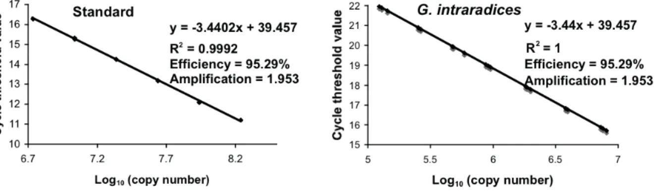 Figure 2-3 Absolute quantification of rDNA copy number. Results of real-time quantitative PCR showing linear  regressions of the cycle threshold (CT values) and the Log concentration of a) plasmid DNA that was used as  standard  and  b)  LSU  rDNA  of  Glo