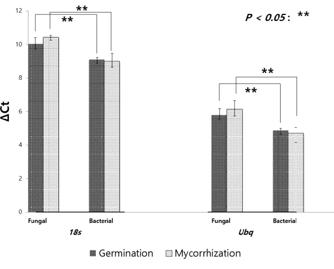 Figure 2.3. Expressions of class I (bacterial) and class IV (fungal) ribonuclease III family  proteins coding mRNA (ridcl 1 and  rirnc 2) in two different phases of  R