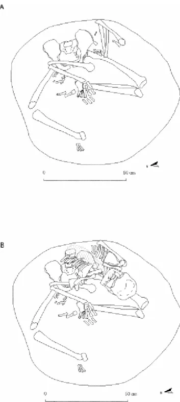 Figure 5 : Reviers, plans de la sépulture 5 (en grisé, le rachis mal  conservé) : A, partie inférieure du corps (sans le rachis, le thorax  et le crâne) ; B, ensemble du corps.