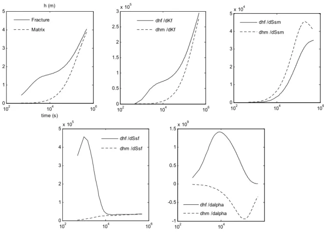 Figure 3 : Exemples de courbes de rabattement et de l’évolution des sensibilités du double milieu homogène aux paramètres en fonction du temps à 100 m du puits pompé.