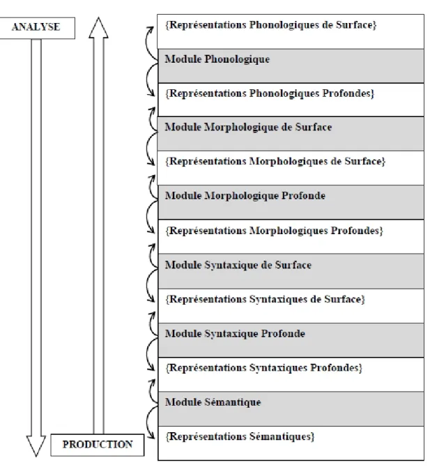 Figure 1.1 – L’architecture de la théorie sens-texte