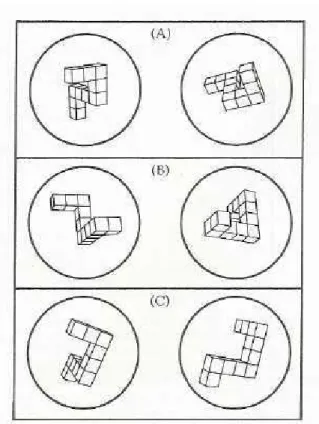 Figure 15 : Figures utilisées dans les tests de Shepard et Metzler (1971)     