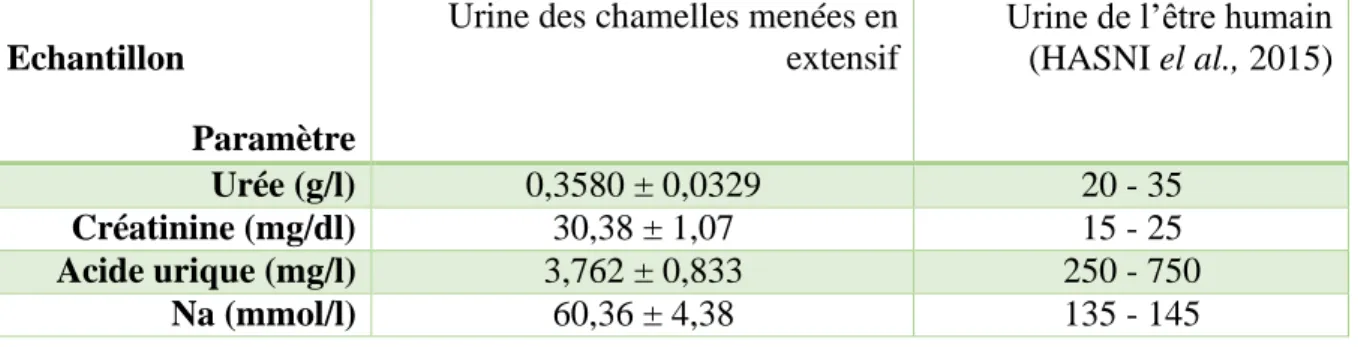 Tableau VII : Constituants organiques et inorganiques de l’urine de chamelle en comparaison  avec ceux de l’être humain