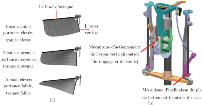 Figure 1.6  La man÷uvrabilité du Nano Hummingbird [90℄ : (a) Le méanisme de réglage