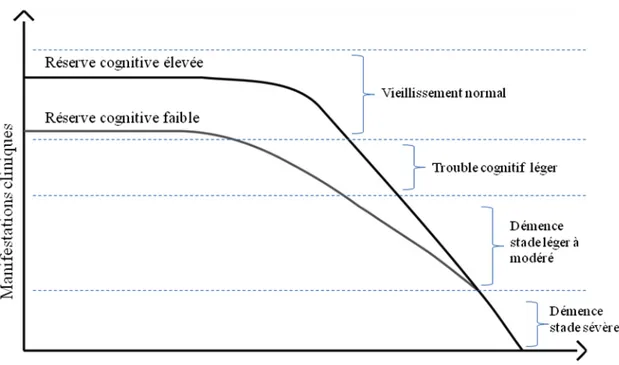 Figure 1: Schéma inspiré de Stern [6]. Les personnes avec une réserve cognitive élevée  peuvent soutenir un niveau d’atteinte cérébrale plus élevé avant de présenter des signes  de  détérioration  cognitive