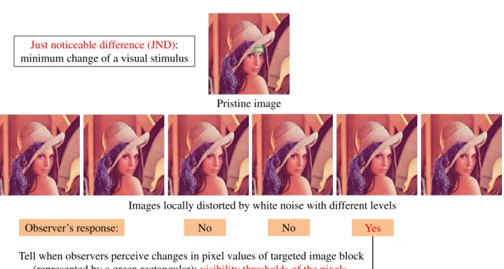 Figure 2.15 – Example of JND thresholds of the pixels in an image block.