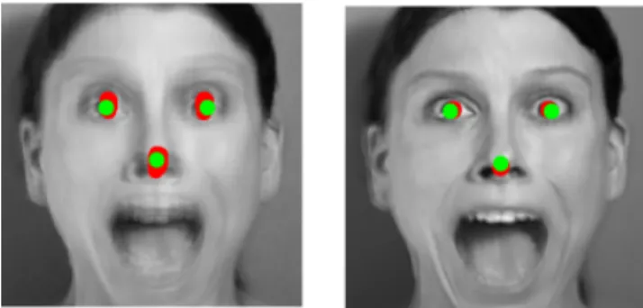 Figure 1. Left: Mean of all frames of a fear movie pre-alignment superimposed with the  position of the facial landmarks annotated in red and the average facial landmarks in green