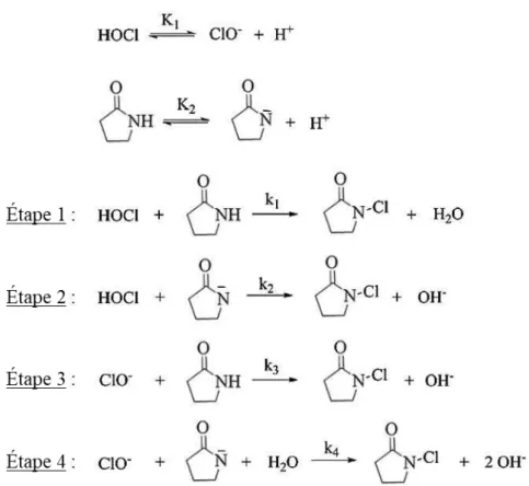 Figure 24 : Proposition de mécanisme réactionnelle de formation de la N-chloro-pyrrolidone avec HOCl par  Pastoriza et al., (2016)